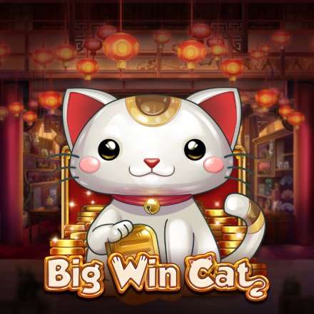 PGBigWinCat